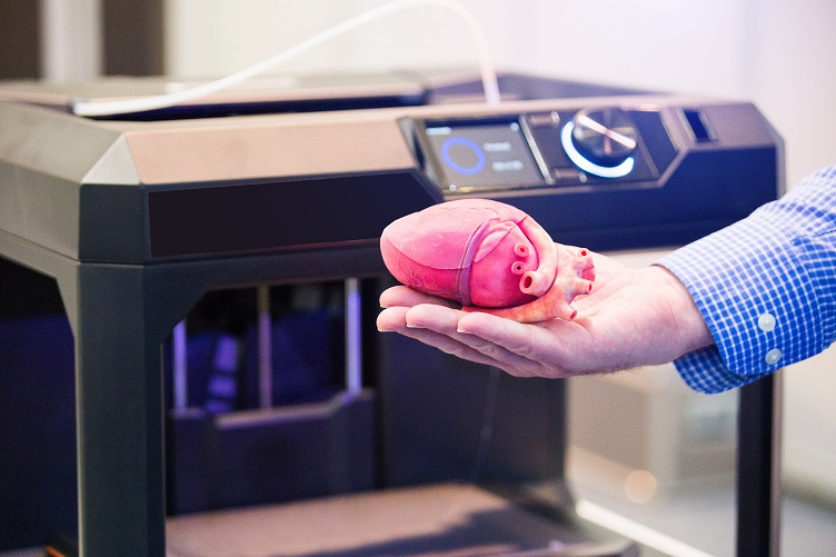 3D-Printed Replica of a Human Heart